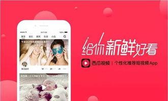 可乐爆料西瓜视频完整版,揭秘幕后真相与精彩瞬间