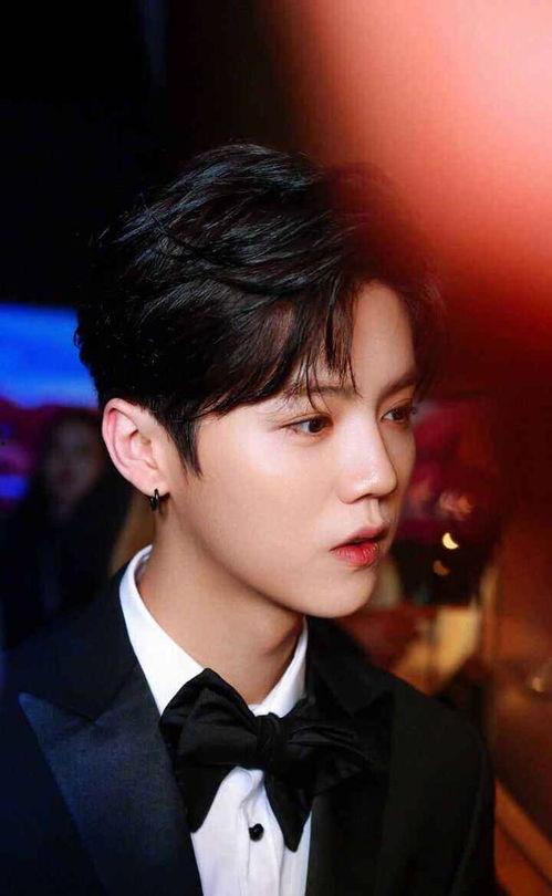 高瀚宇爆料鹿晗了吗视频,视频爆料背后的真相